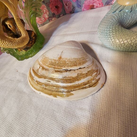 DECOUPAGE CLAM SHELL   - Picture 5 of 7